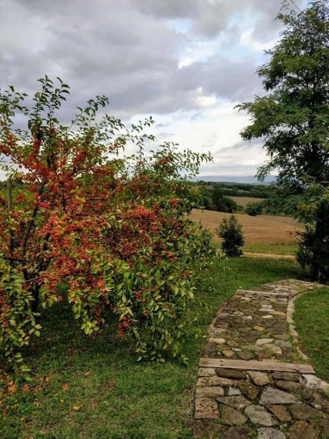 La Casa Di Arianna Bed and Breakfast Casole dʼElsa Exteriör bild
